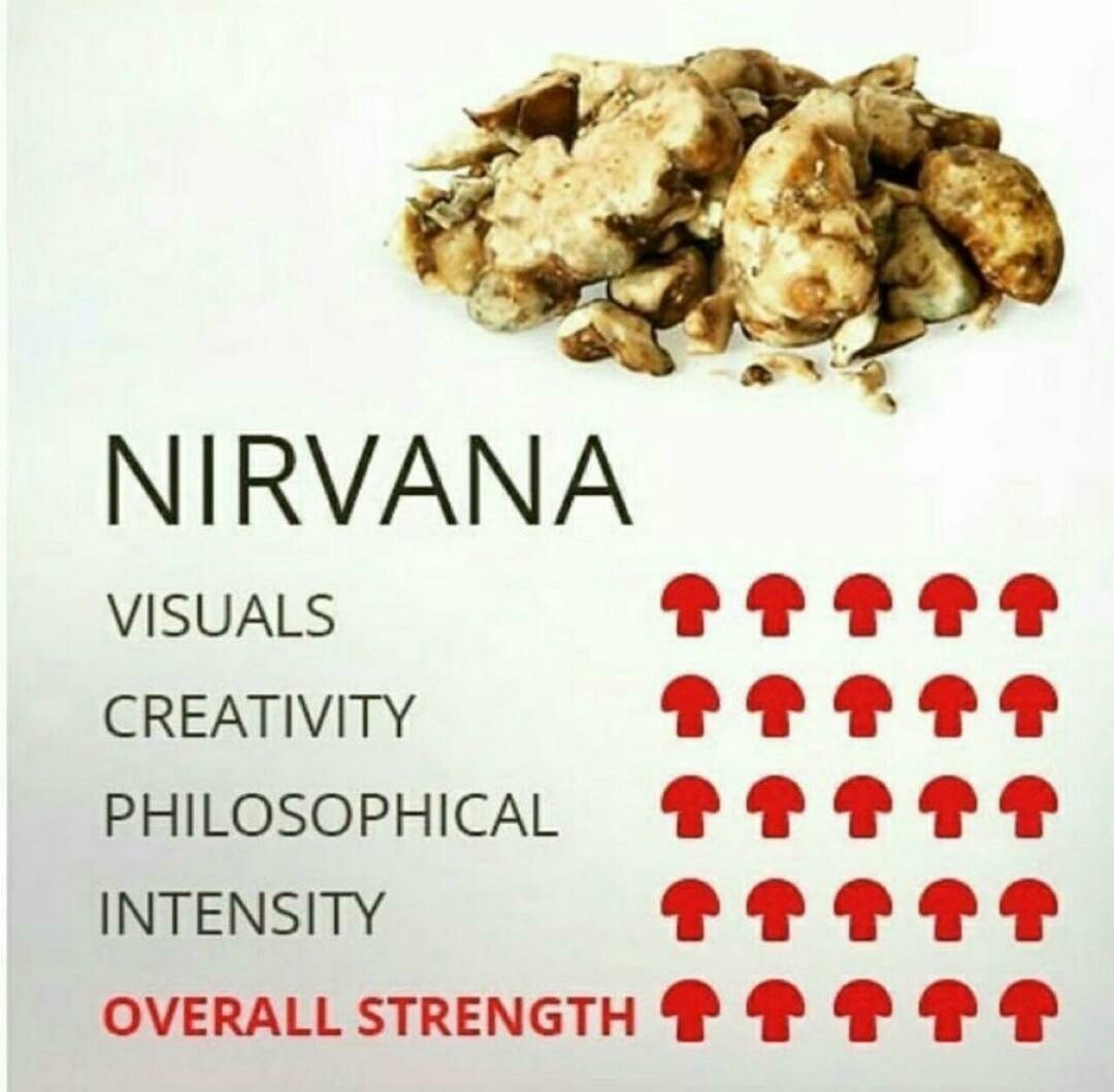 Nirvana truffles Online