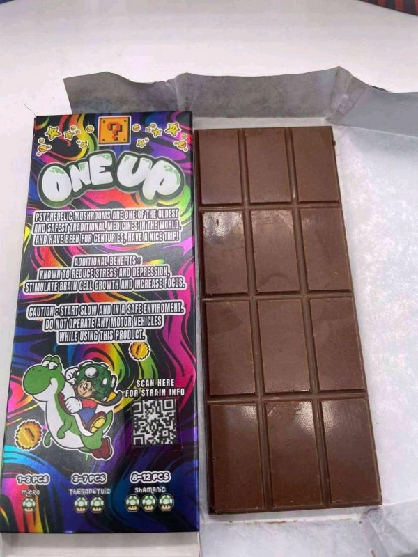 Buy Mushroom Chocolate Bar