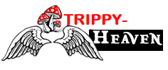Psychedelics & Vapes Shop
